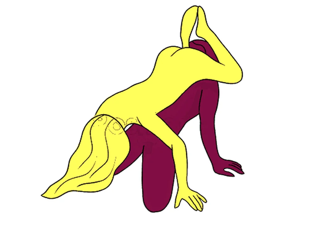 American Pie sex position illustration