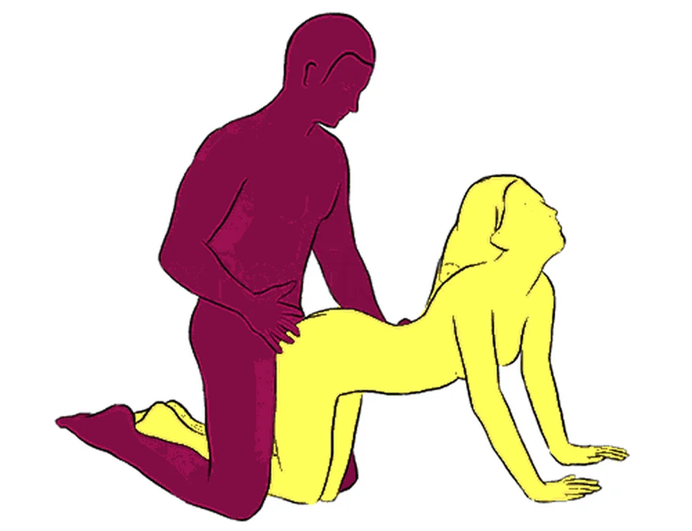Basset Hound sex position illustration