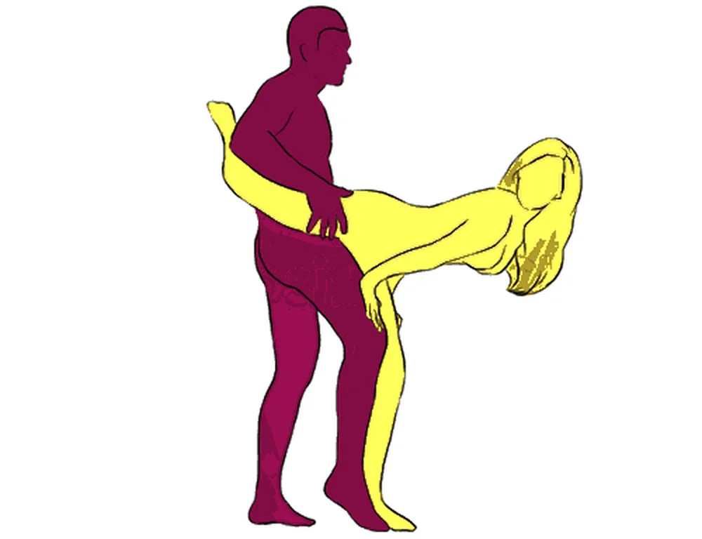 Dolphin position illustration