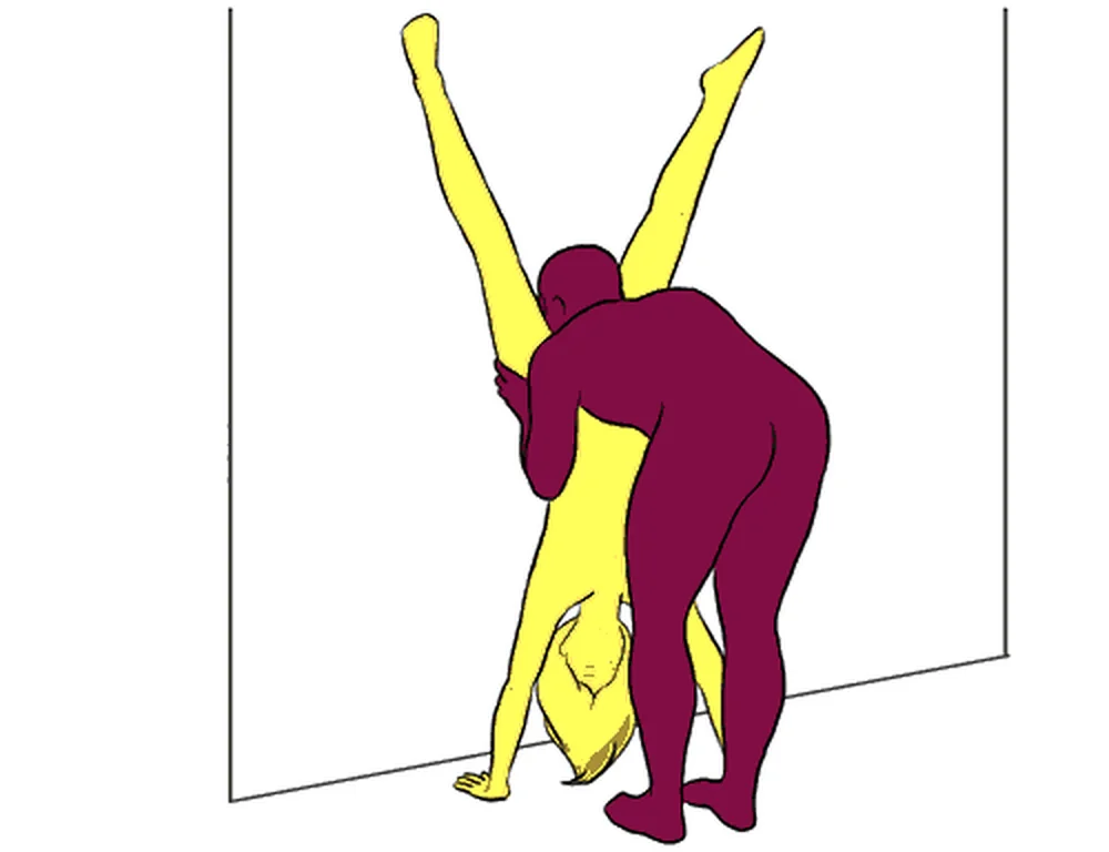 Orchid sex position illustration