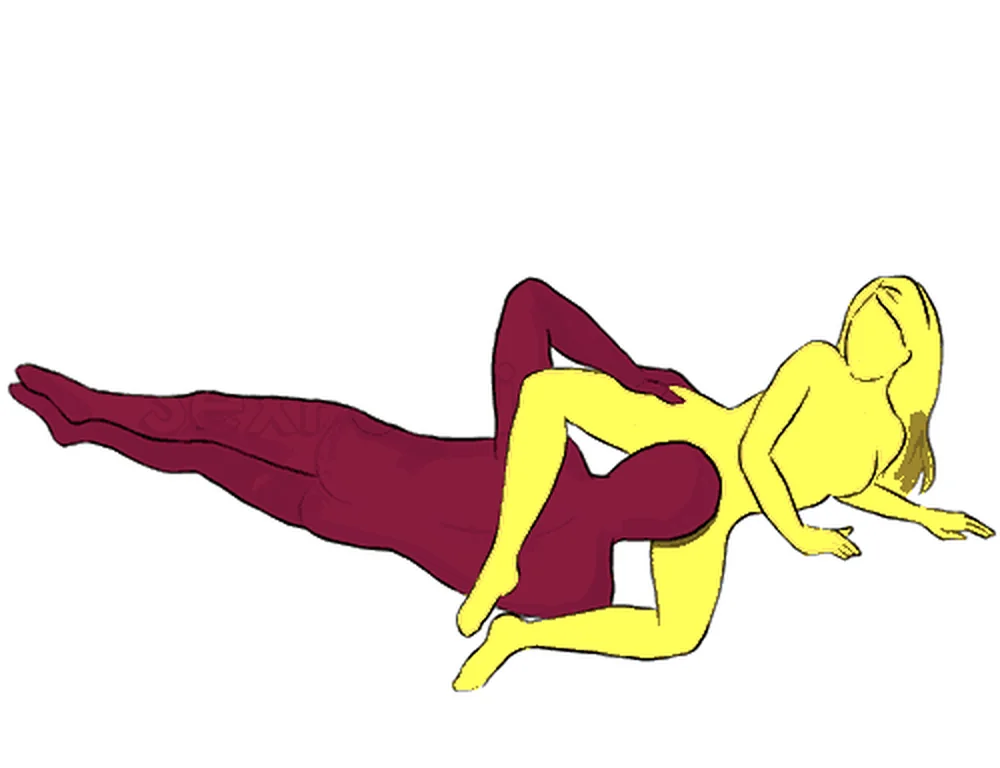 Shell sex position illustration