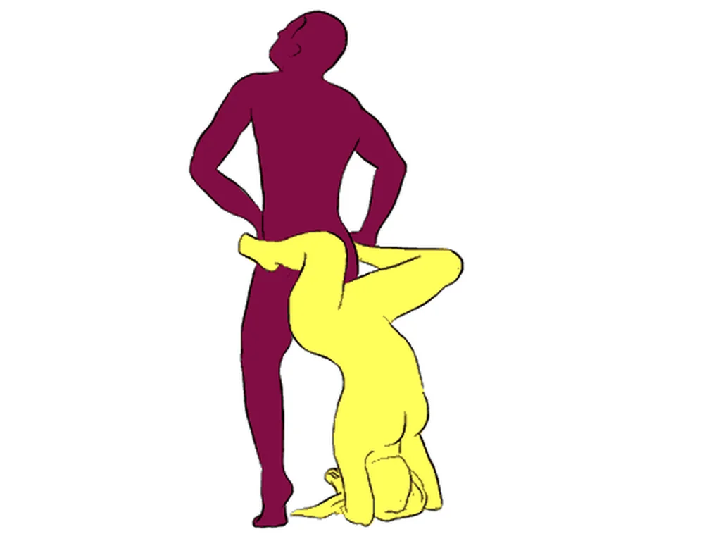 Spider Monkey position illustration